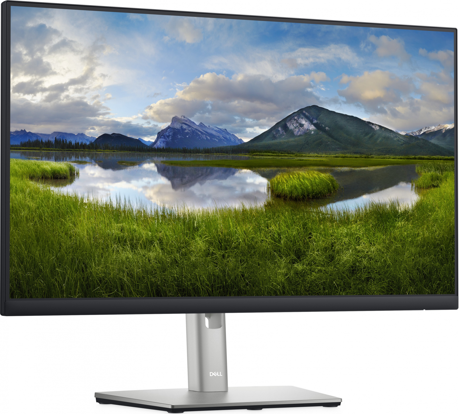 SECMO 24 TFT DELL P2422H/B